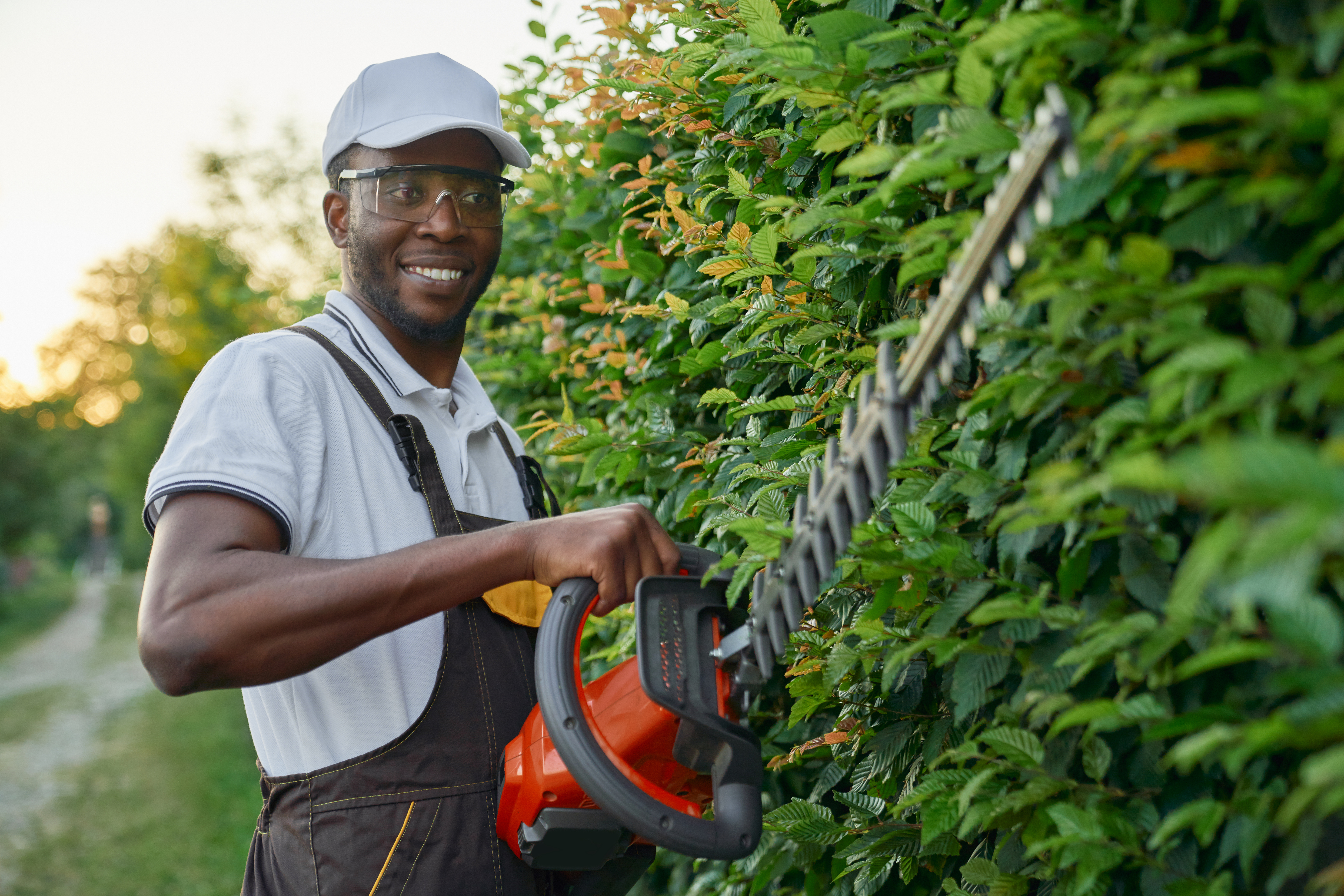 Happy gardener trimming bushes